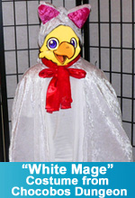 White Mage Costume Final Fantasy Chocobo Tales